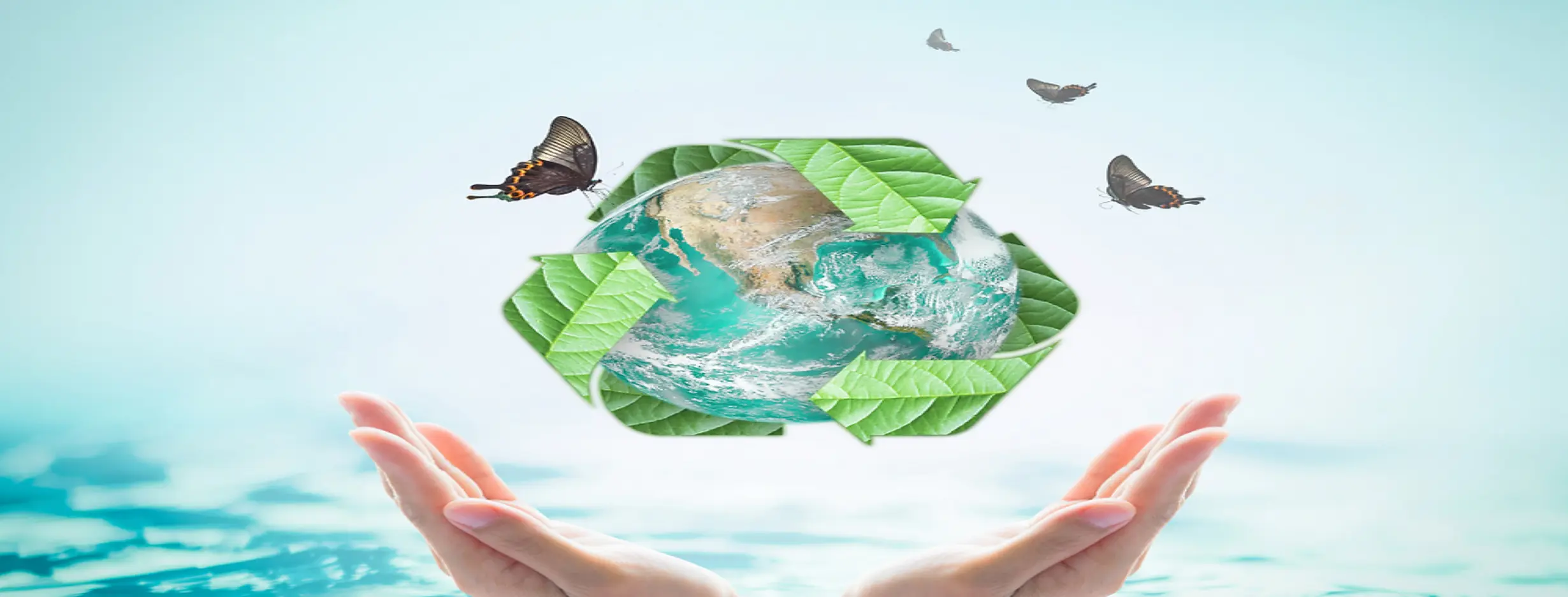 Image for Sustainable Living